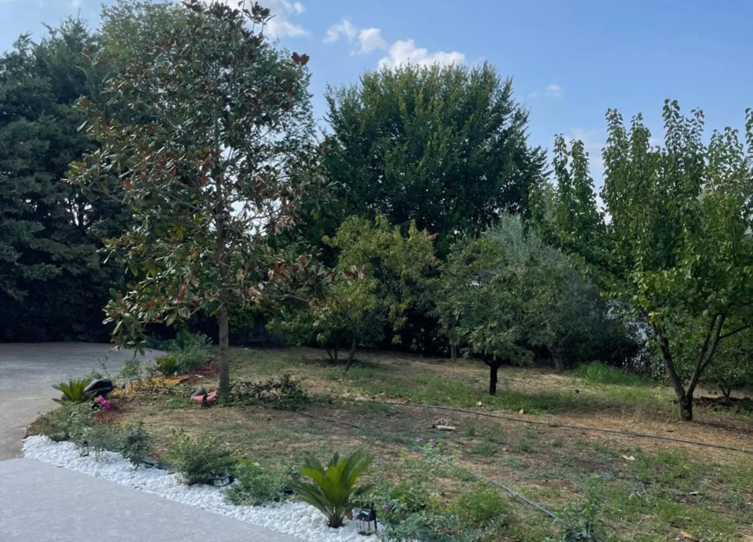 Daire Tirana Sunny Bliss Villa 2 Petrele